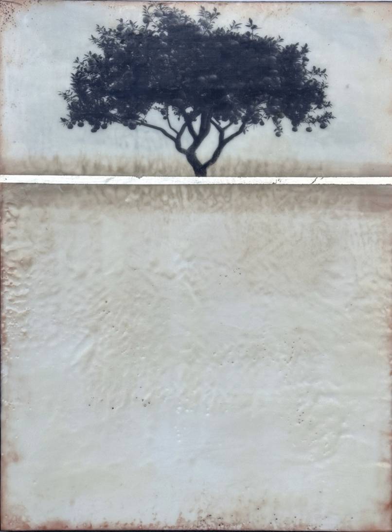 Within the Pale