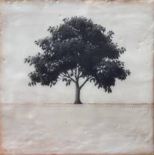 Rauni of the Rowan Tree