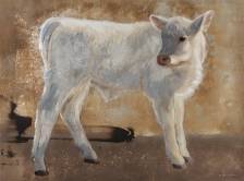 Snowy Calf