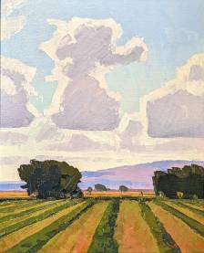 Summer Cumulus