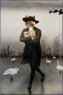 The Fox who Loved Swans