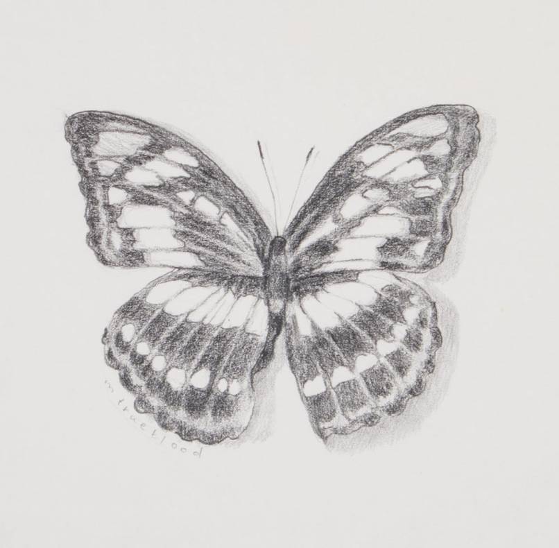 Athyma Sketch