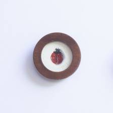 Ladybug II