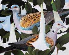 Turtledoves in Angel Trumpets