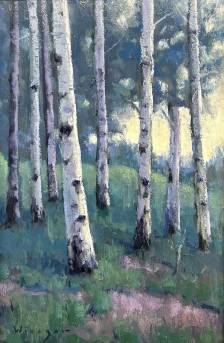Aspen Study