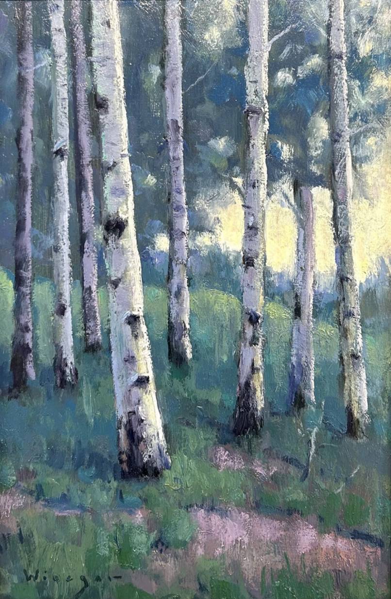 Aspen Study