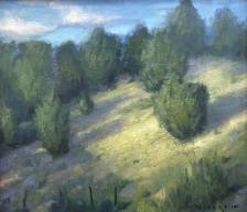 Hillside