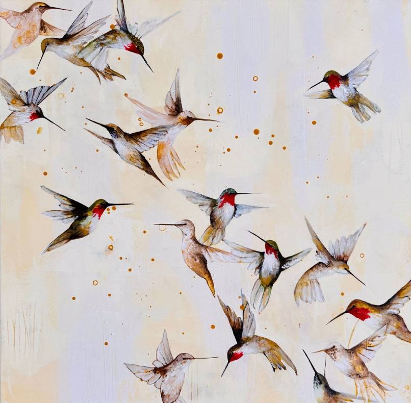 Wings, Wild and Beautiful