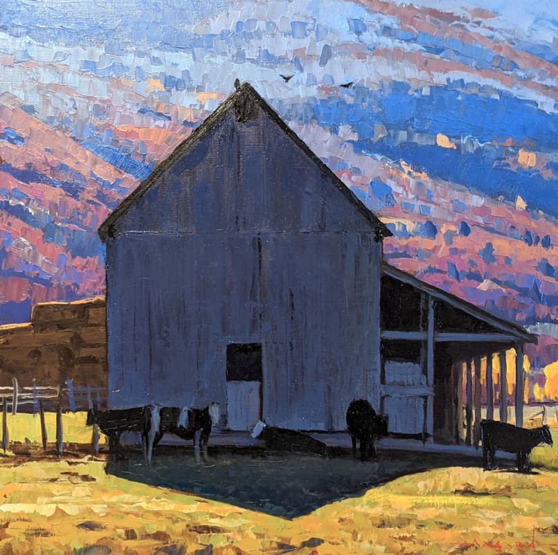 Young Cows and a Barn